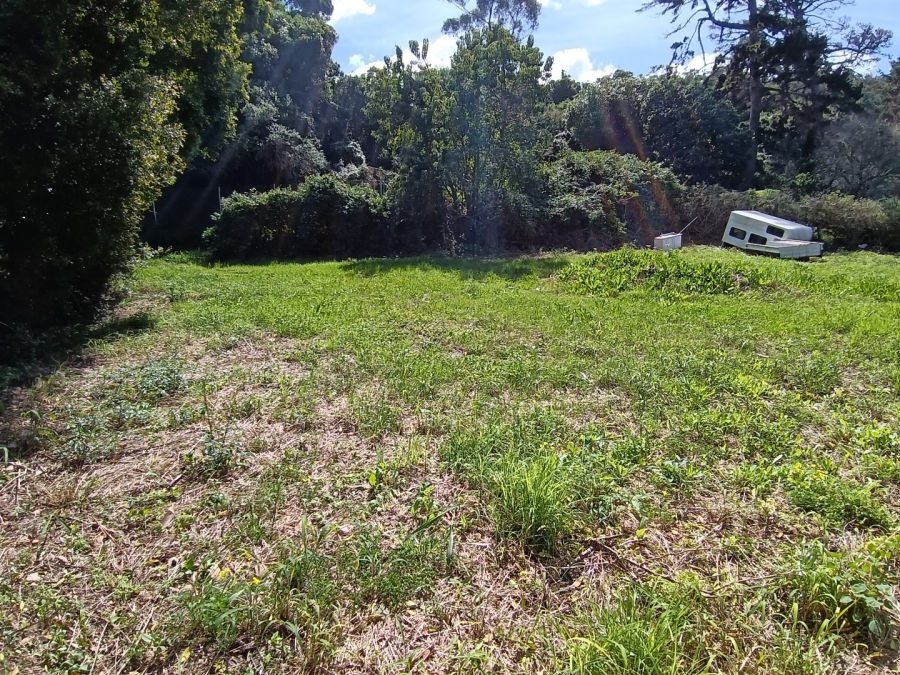 Commercial Property for Sale in Grootbrakhoogte Western Cape